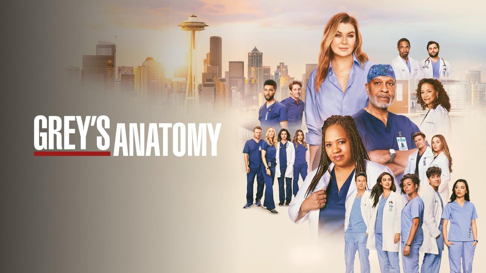Greys Anatomy